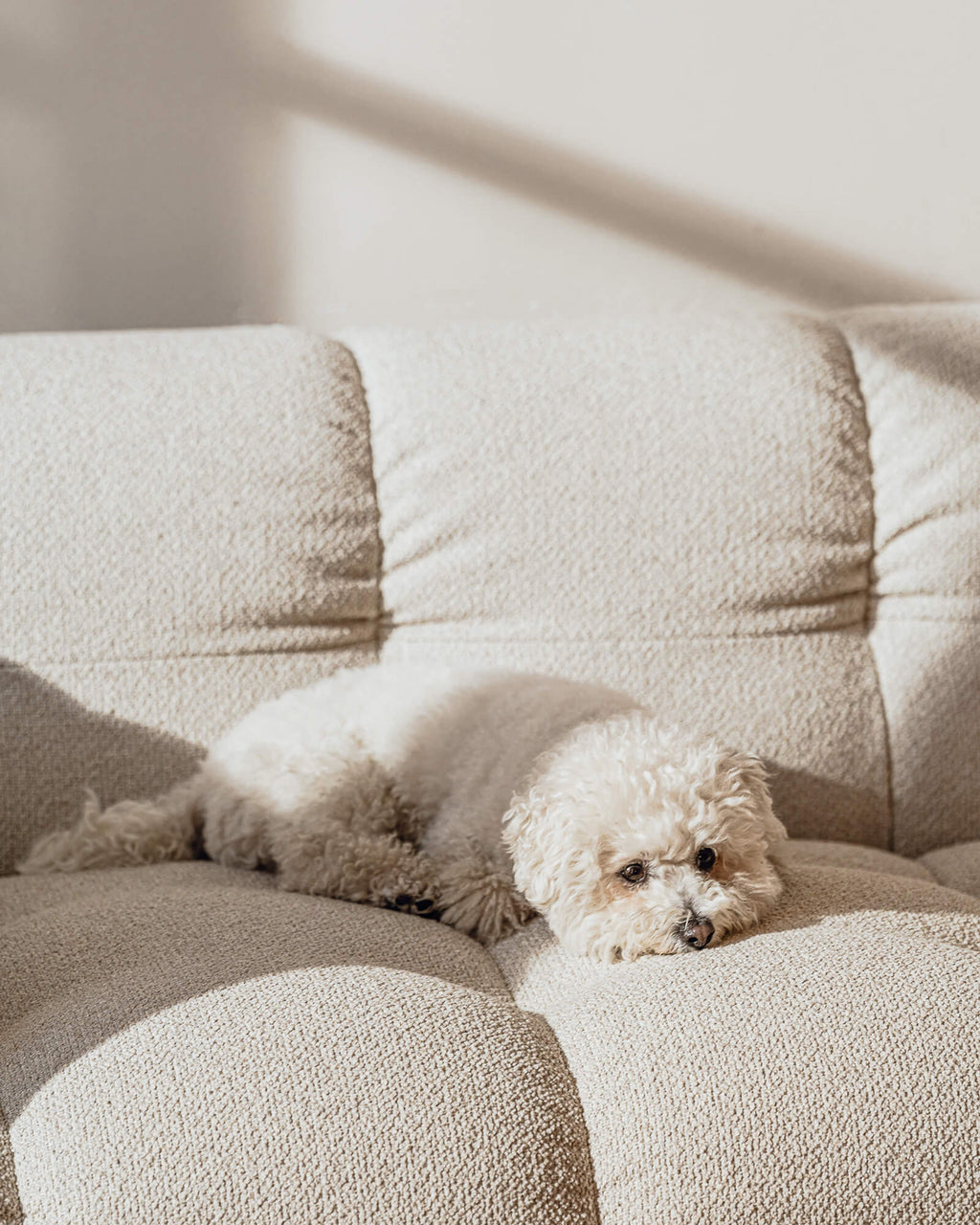 Bolbi Sofa 2 - seater - nooma