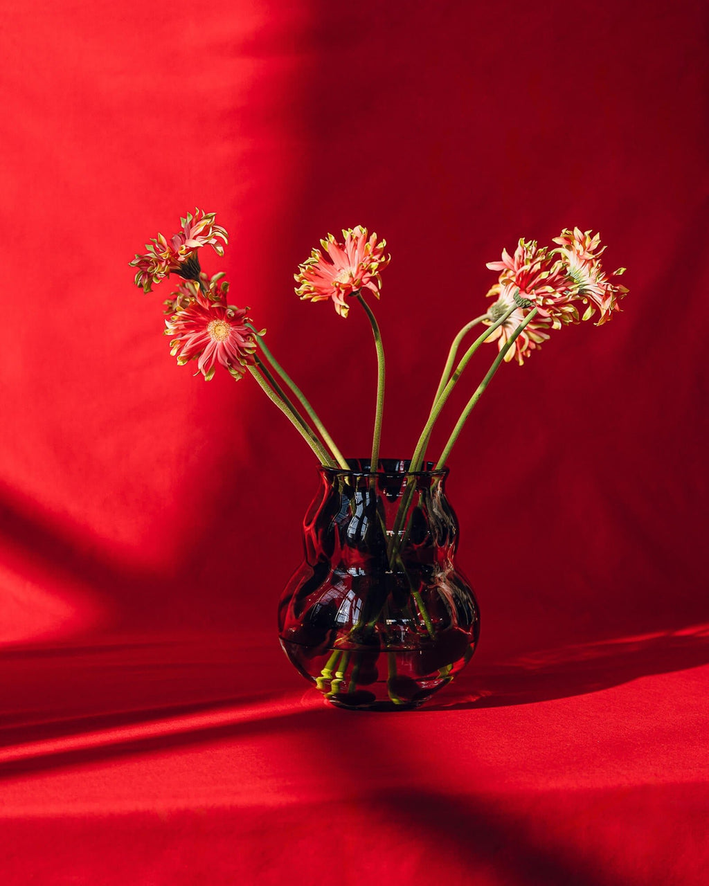 Dam Vase - nooma