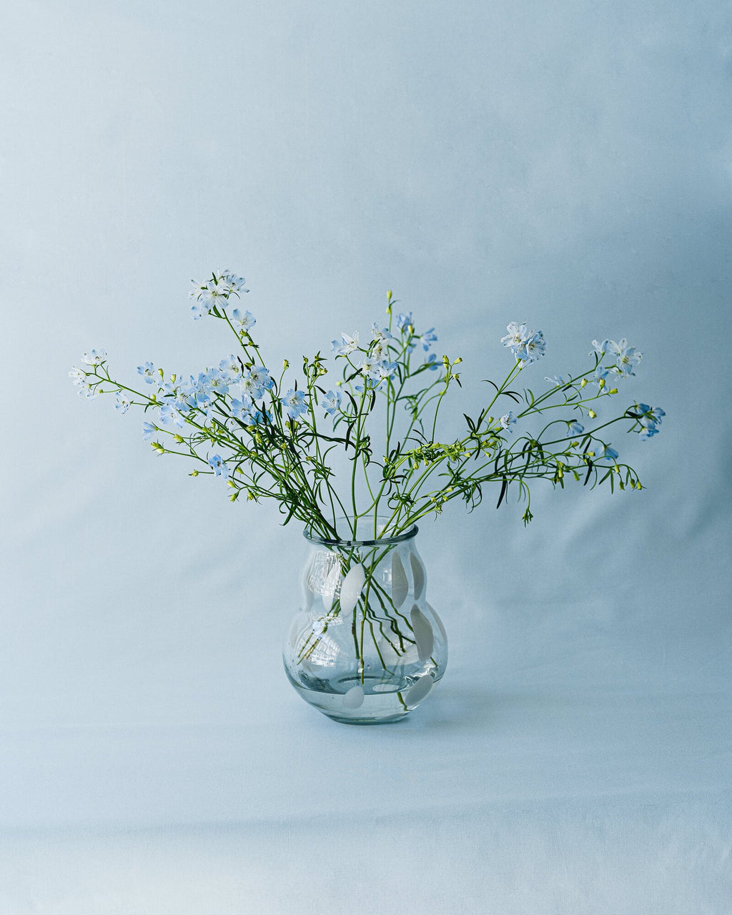 Dam Vase - nooma