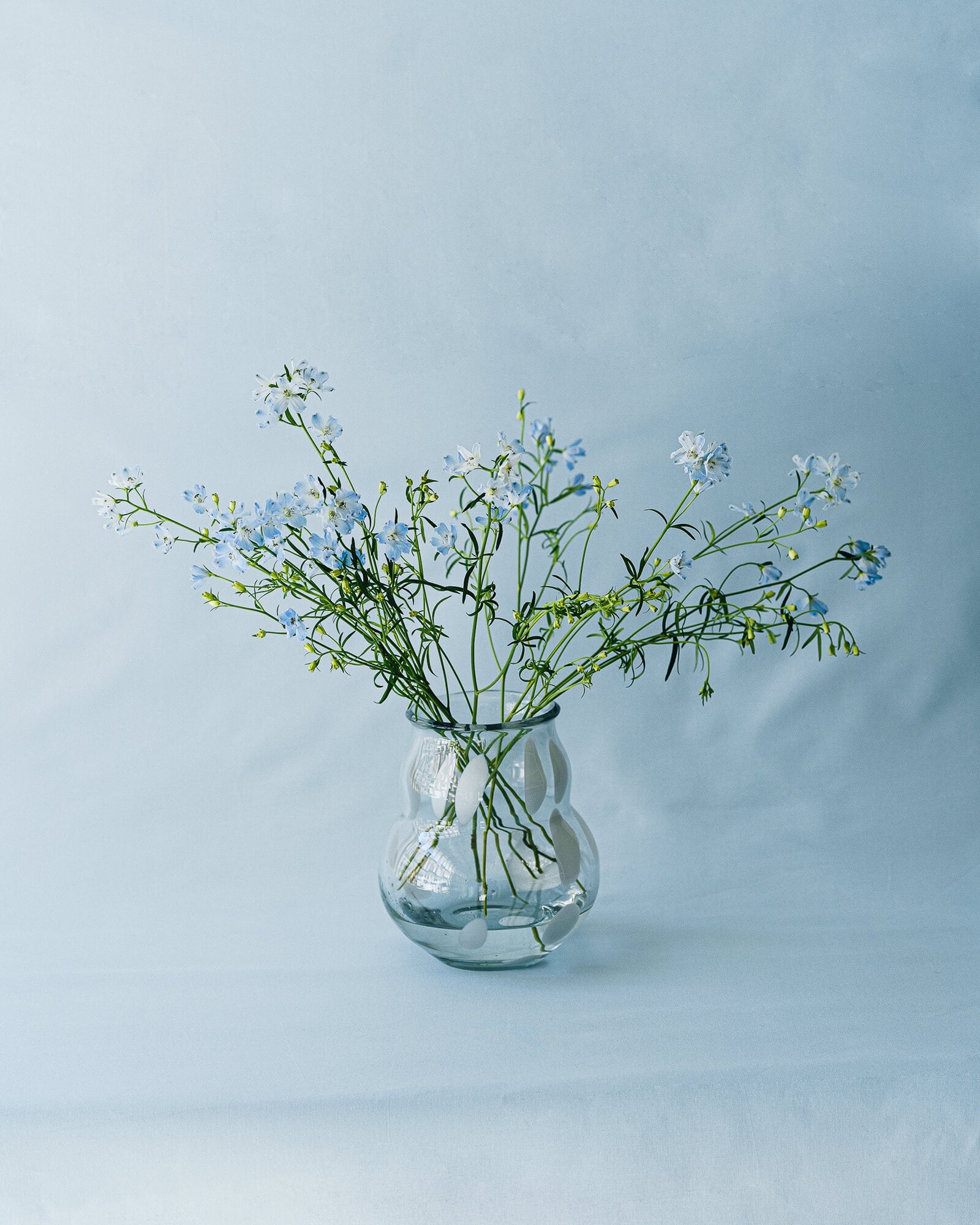 Dam Vase - nooma