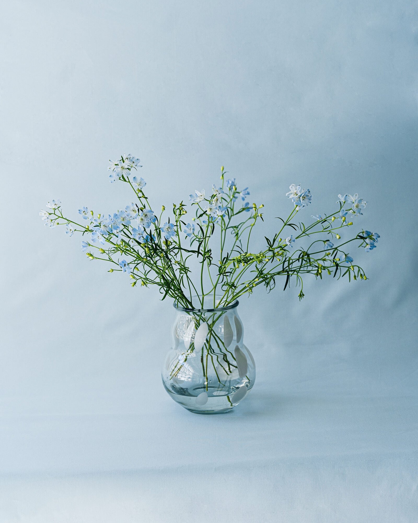 Dam Vase - nooma