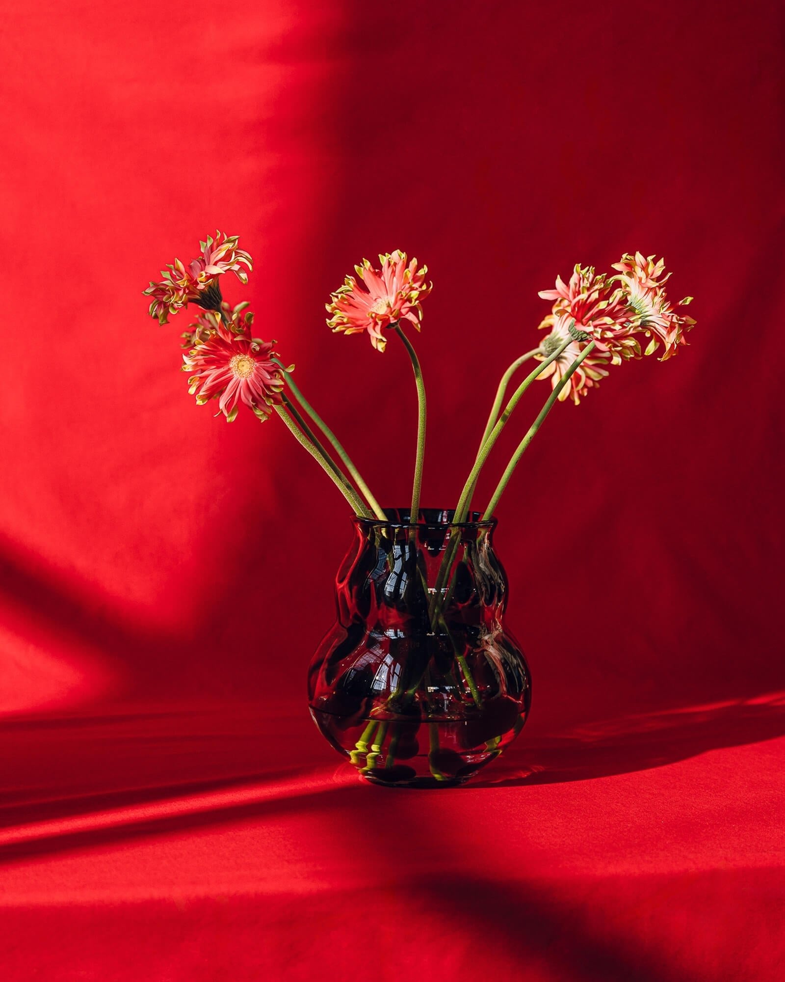 Dam Vase - nooma