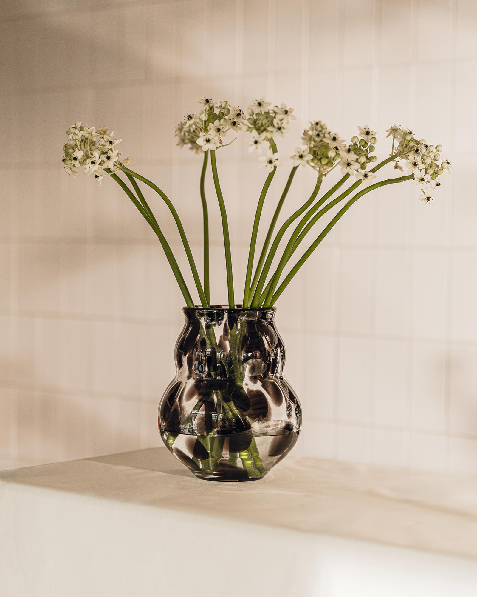 Glom Vase - nooma