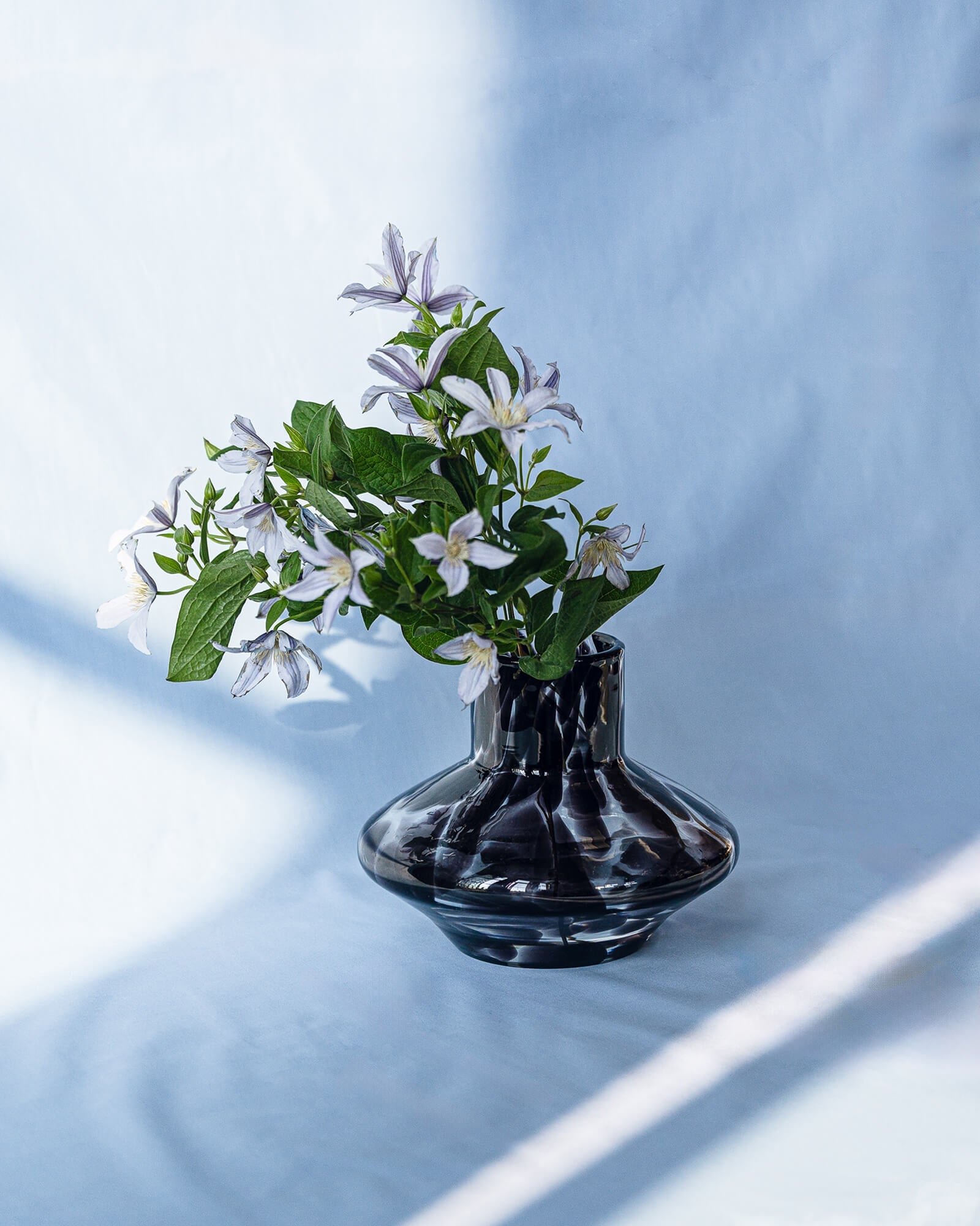 Glom Vase - nooma