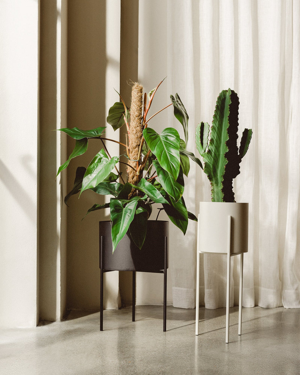 Maki Wide & Tall Bundle - nooma