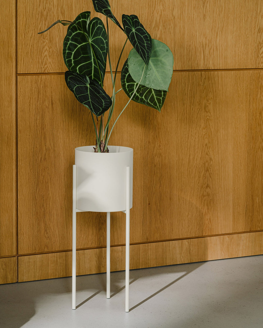 Maki Wide & Tall Bundle - nooma