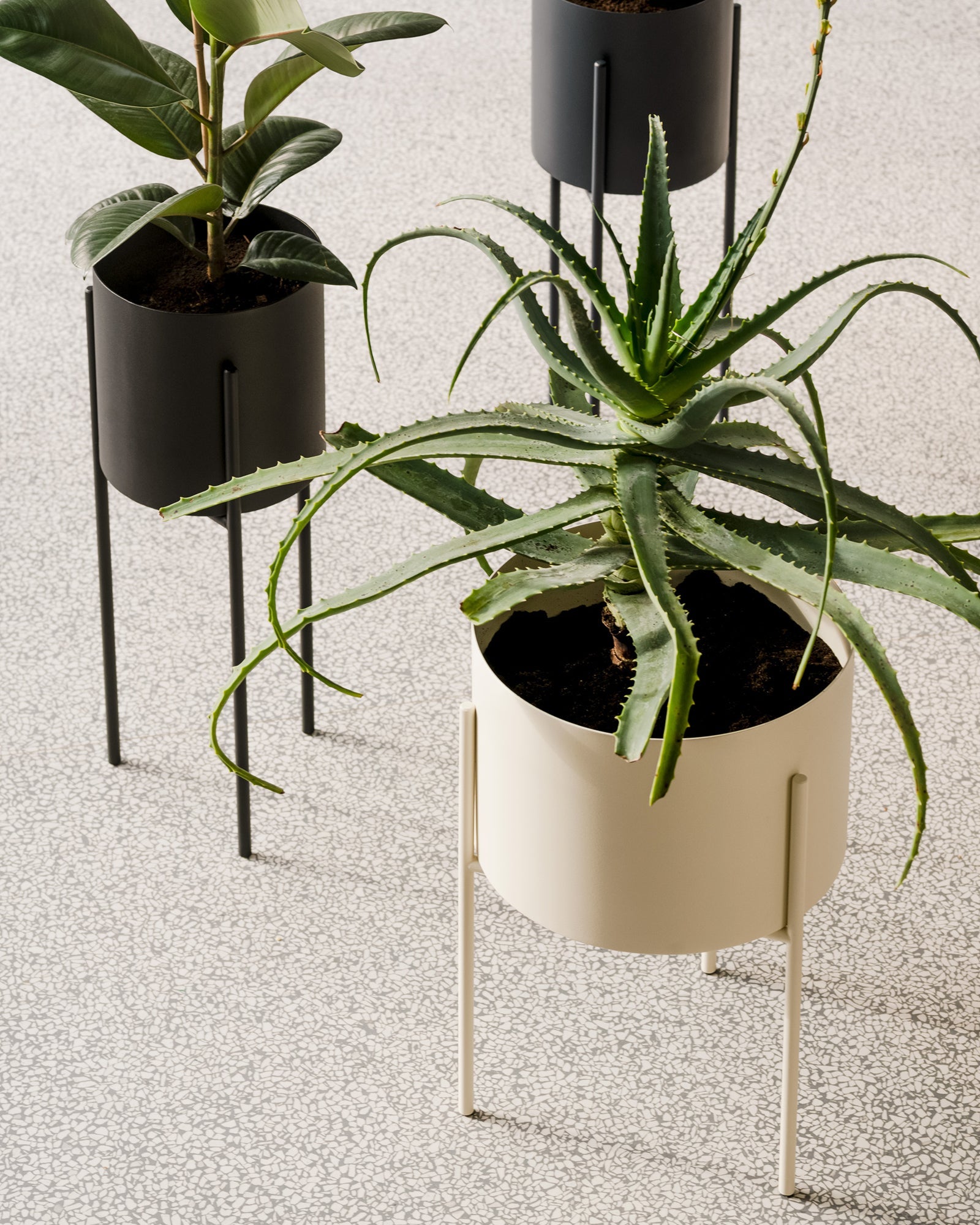 Maki Wide & Tall Bundle - nooma