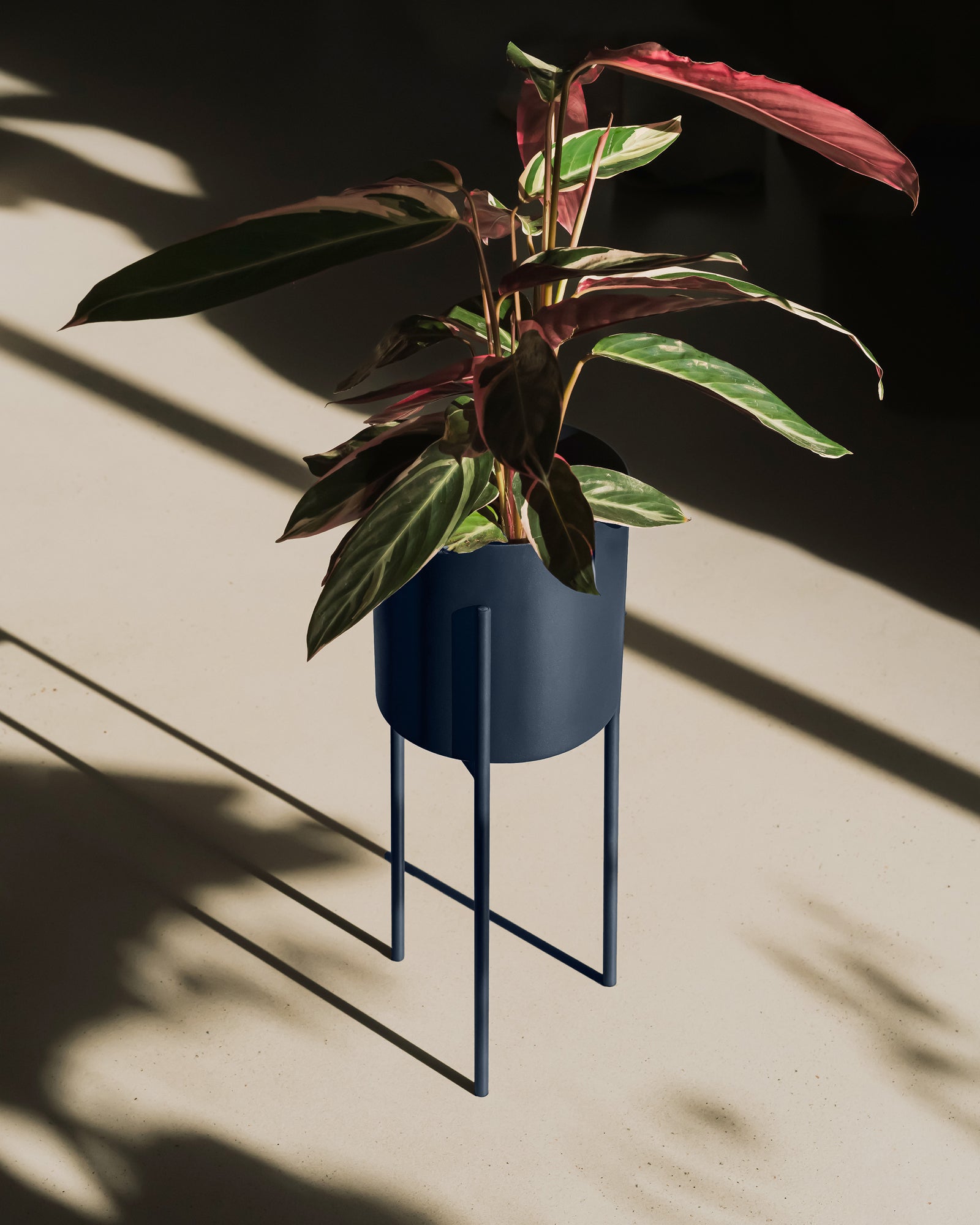 Maki Wide & Tall Bundle - nooma