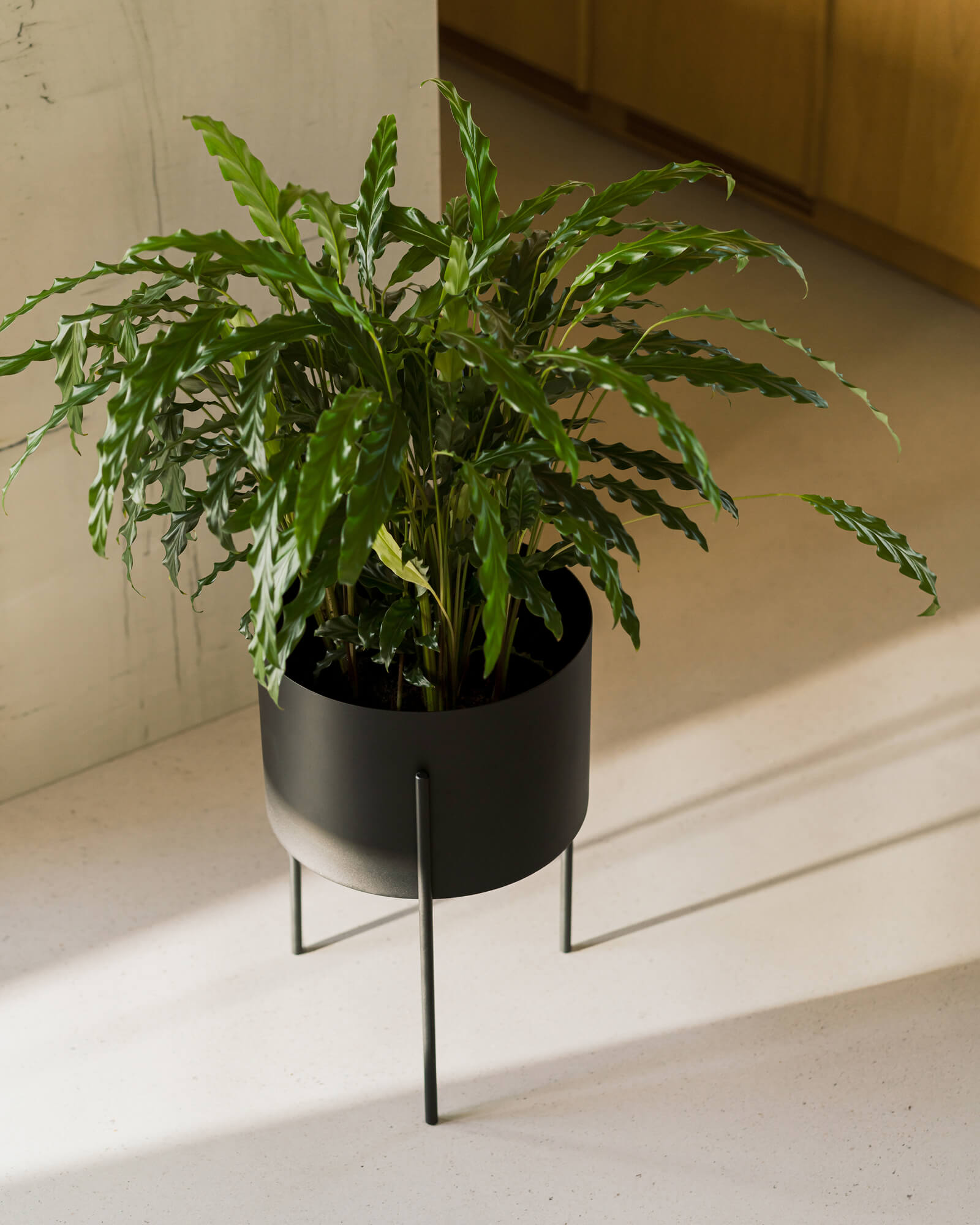 Maki Plant Pot - wide - nooma