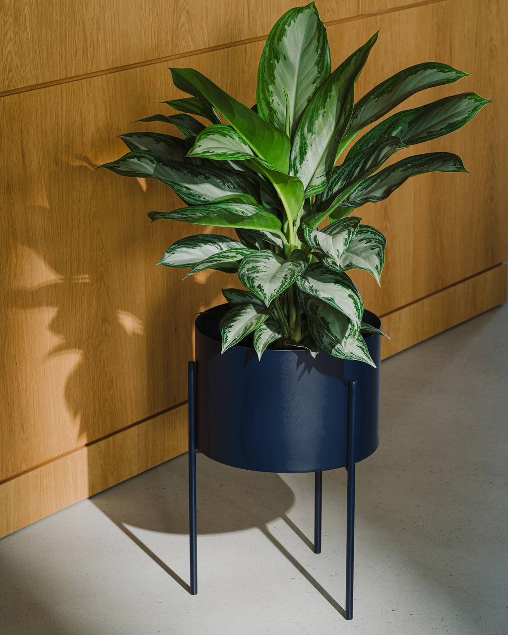 Maki Plant Pot - wide - nooma