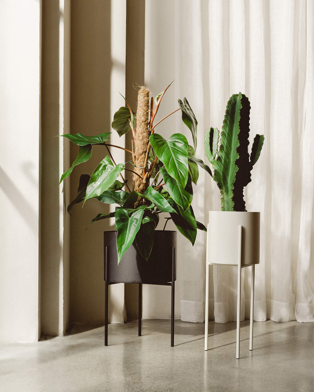 Maki Plant Pot - wide - nooma