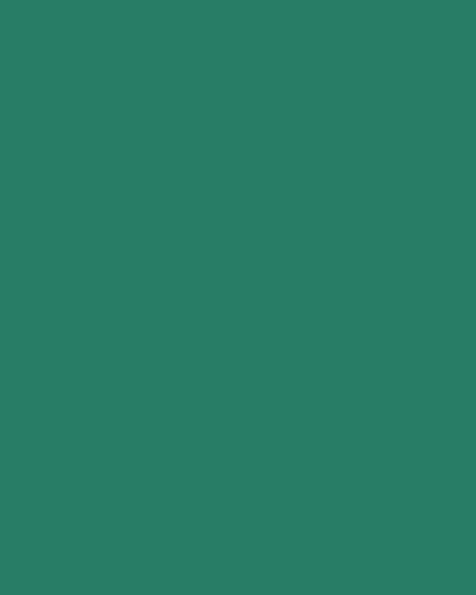 Metal Sample - nooma
