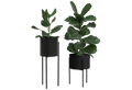 Maki Wide & Tall Bundle - nooma